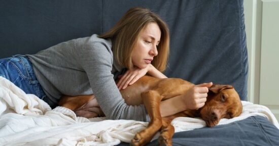 Dogs in pain could show subtle changes owners should know