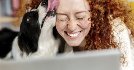 How to tell your dog loves you the most with 5 signs