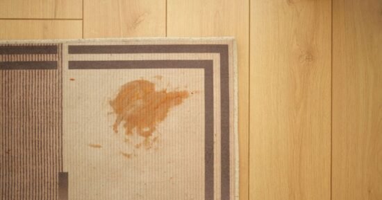 Banish stubborn carpet stains and fresh spills with 1 item