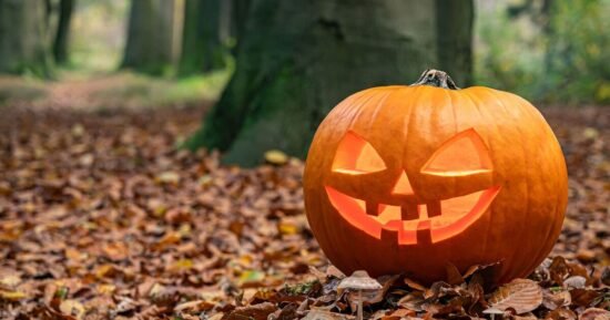 How to to stop Halloween pumpkins rotting with this one item