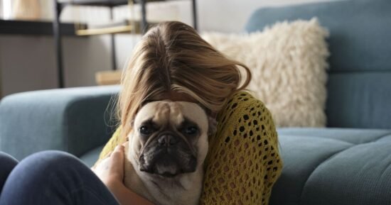 Dog owners heartbroken to learn ‘common habit’ hurts pets’ feelings