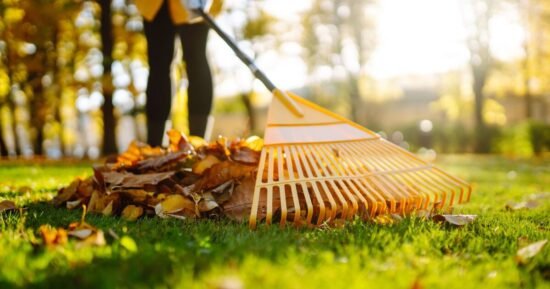 Three gardening jobs to complete now to have ‘best’ garden next year | UK | News