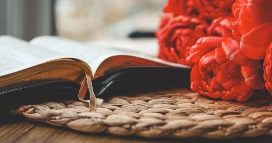 Author of modern literary classic to release memoir in November | Books | Entertainment