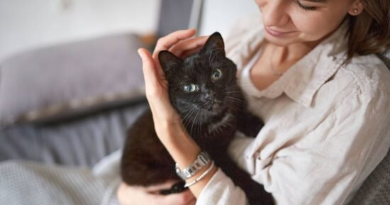 Black cat lovers ‘heartbroken’ over charity’s stark Halloween message