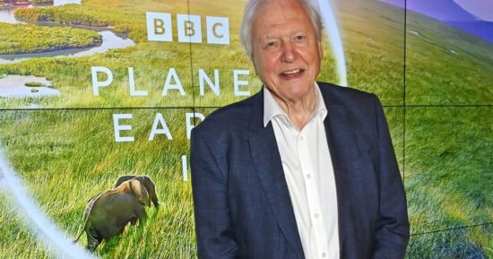 Waterstones names its books of the year – one is by David Attenborough | Books | Entertainment