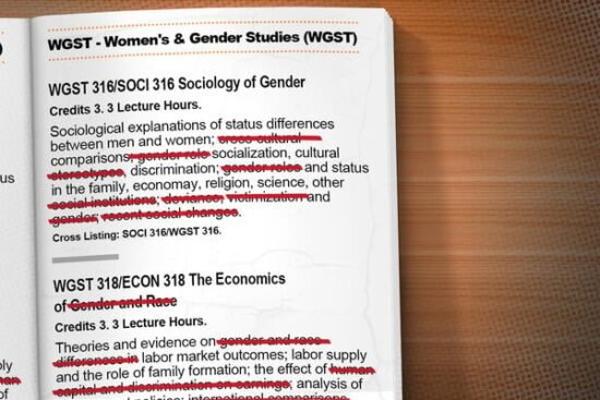 Texas Systems Review Course Descriptions, Syllabi