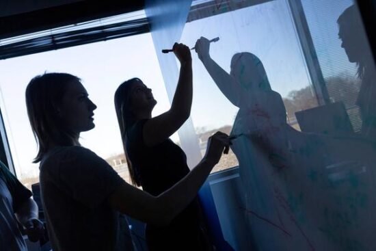 Supporting Transfer Student Success Through Data