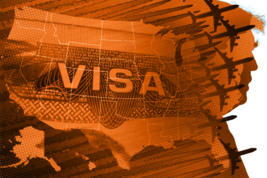 International Student Arrivals Drop 19%