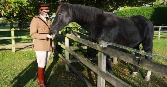 British army horse who ran through the streets of London gets well-deserved retirement