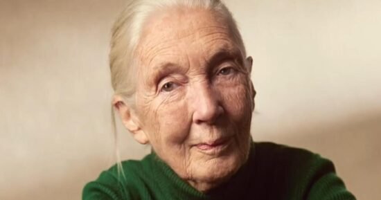 Reporter’s Notebook: Jane Goodall’s legacy