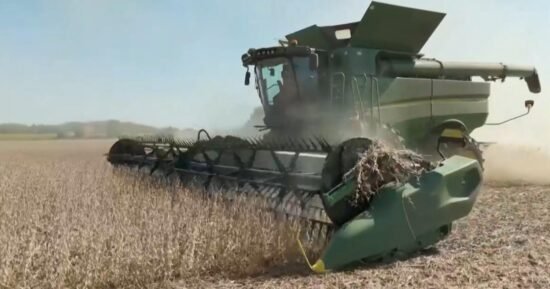 Reporter's Notebook: Will China return to buying American soybeans?