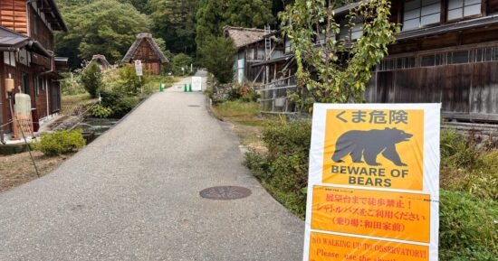 Agitated bear injures 2 people in Japan grocery store as man killed in separate suspected attack