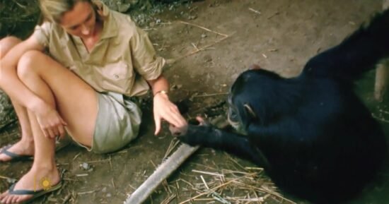Passage: Remembering Jane Goodall – CBS News