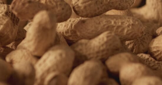 Some 60,000 kids have avoided peanut allergies due to landmark 2015 advice, study finds