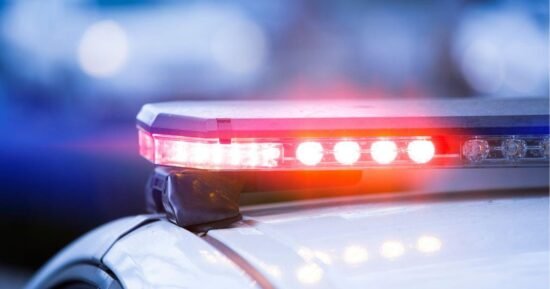 Man attacked and killed by dogs in Liberty City, Miami Police say