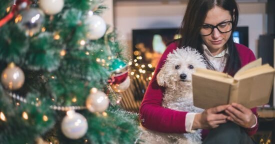 ‘I read every day and these are my top 2025 Christmas release books’ | Books | Entertainment