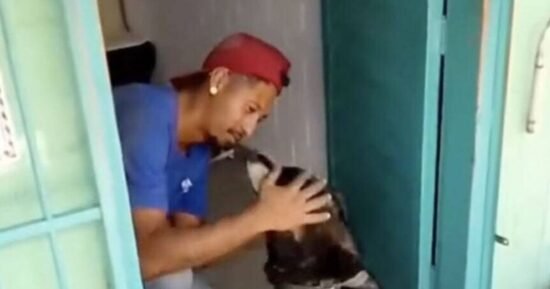 Man who lost dog 5 years ago was gobsmacked by what he spotted on Instagram
