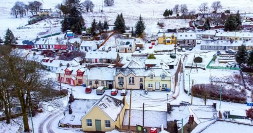 Sign in nature earlier this year shows if it’ll be a white Christmas