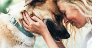 Dog trainer says ‘king’ of dog breeds makes the best companion