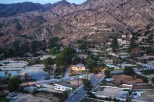 For One Displaced Professor, Fire Research Is “Cathartic”