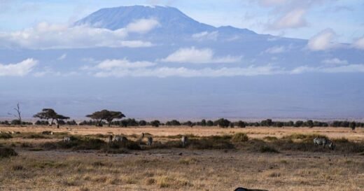 Rescue helicopter crashes on Tanzania’s Mount Kilimanjaro, killing all 5 on board