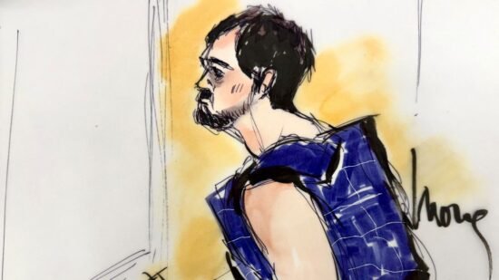 Rob Reiner’s son appears in court accused of murdering Hollywood director and wife | US News