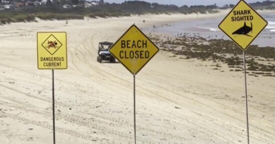 Dozens of Australian beaches close after four shark attacks in less than 48 hours
