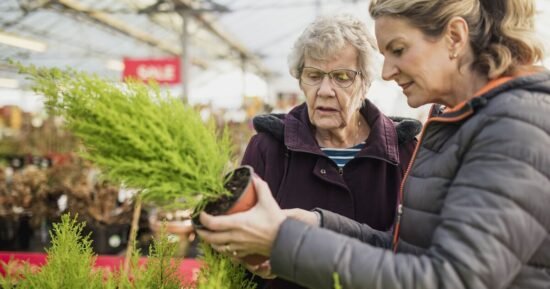 Iconic UK garden centre with ice rink to close after 50 years – ‘so sad’