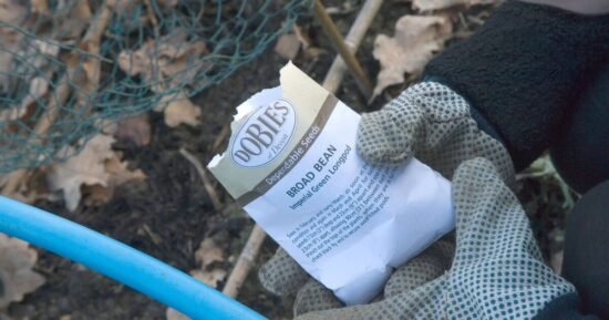 ‘Plant these bare-root varieties now to get a head start on growth’