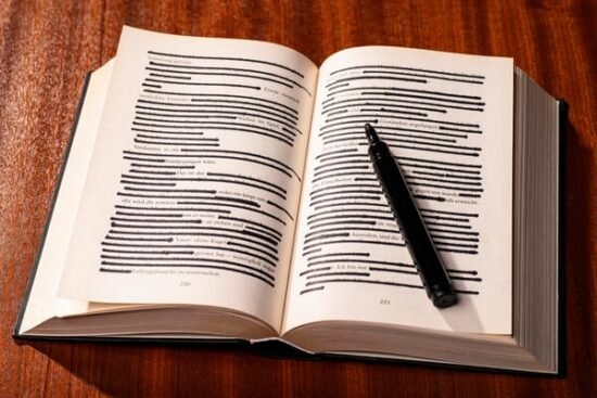 State Lawmakers Enacted 21 Censorship Bills in 2025