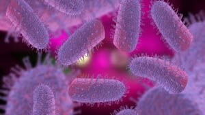 Rabies Status by Country | Rabies