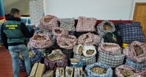 Police arrest 3 men suspected of shipping opium poppy by mail in Spain and to U.S.