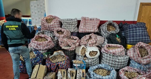 Police arrest 3 men suspected of shipping opium poppy by mail in Spain and to U.S.