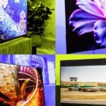 Who’s who and what’s what in TVs in 2026