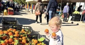 ‘I was going crazy’ – family swaps ‘grey’ UK’s £3k bills for £690 Greek home