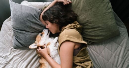 3 heartwarming reasons dogs love sleeping in the bed with you