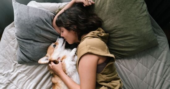 3 heartwarming reasons dogs love sleeping in the bed with you