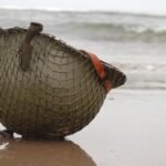 Tom Hanks World War 2 D-Day sequel with Stephen Graham is now filming | Films | Entertainment