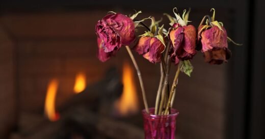 Stop your flowers dying in days and smelling foul with 4 steps