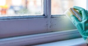 Black mould will vanish from windows with 1 simple food item