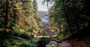 ‘Magical’ National Trust day out has ‘fantasy garden’ and ’40-miles of