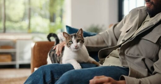 Cat owners told common action doesn’t mean your pet is happy