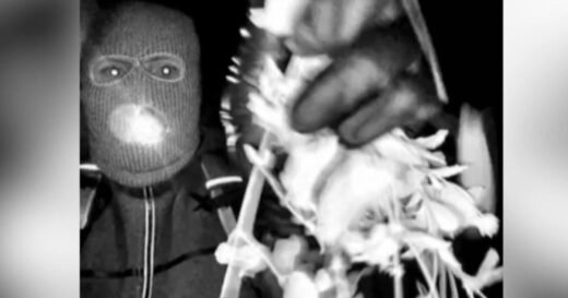 Where the Nancy Guthrie investigation stands on Day 17