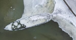 Naval shipwreck emerges in Sweden after being buried underwater for 400 years