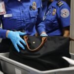 What services would be affected by a DHS government shutdown?