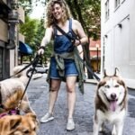 Dog trainer shares the 3 dog breeds that are most ‘challenging’ to train