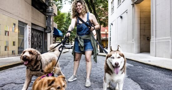 Dog trainer shares the 3 dog breeds that are most ‘challenging’ to train