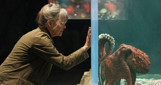 Netflix drops trailer for film based on ‘best book I’ve ever read’ | Films | Entertainment