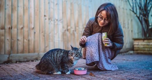 Woman feeds stray cat outside home and finds adorable surprise