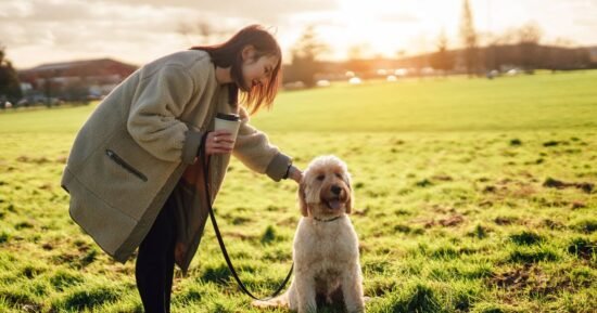 UK dog owners warned over new law with unlimited fines